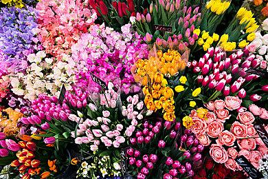 消息称《地狱之刃2》将于明年5月21日发售