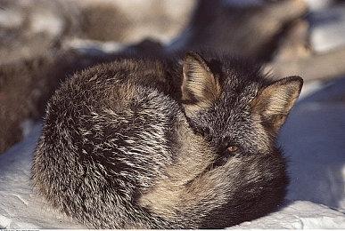 《毁灭战士：黑暗时代》关卡是id Software最大规模